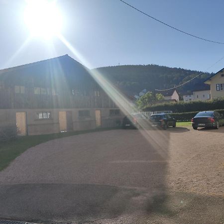Le Cozy Nest Apartment Gérardmer Екстериор снимка