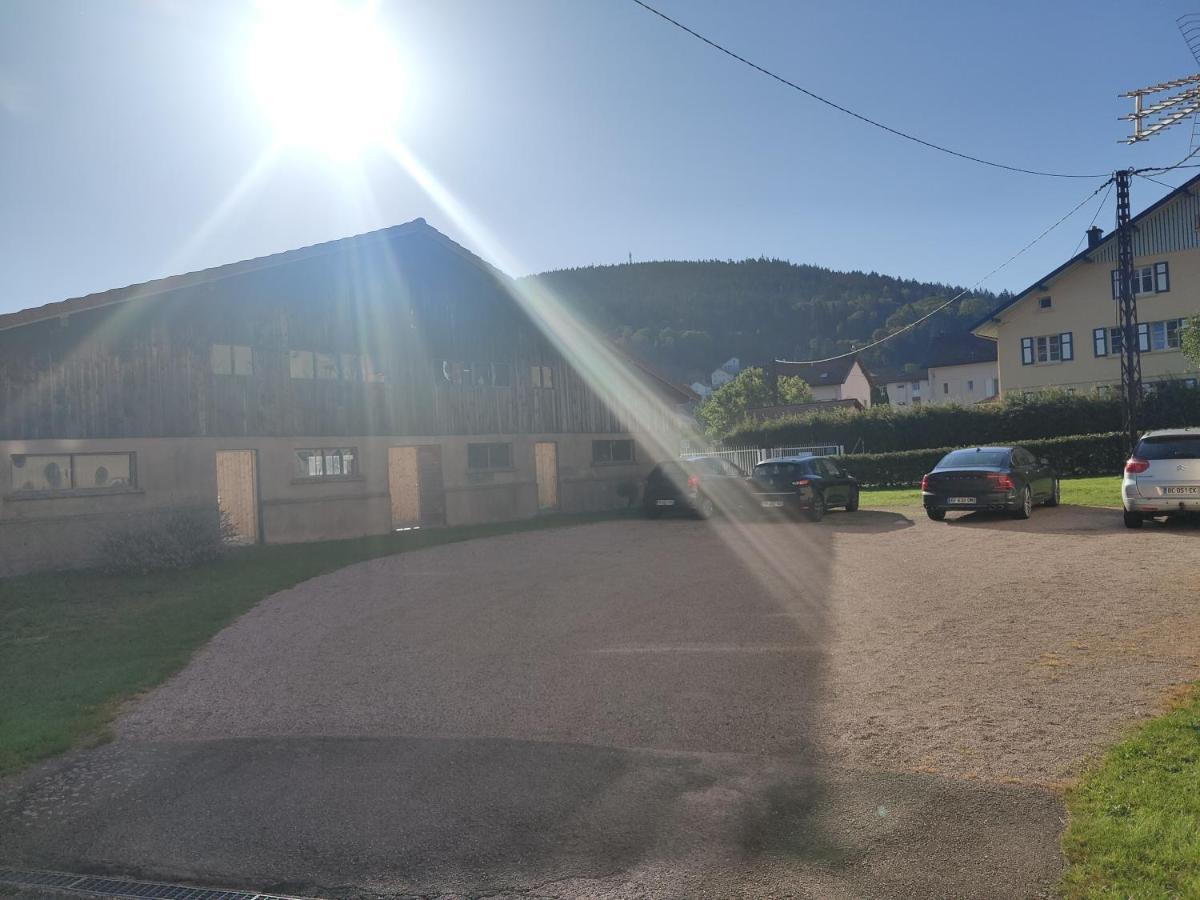 Le Cozy Nest Apartment Gérardmer Екстериор снимка